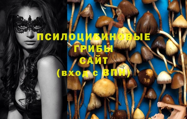 гидра Бородино