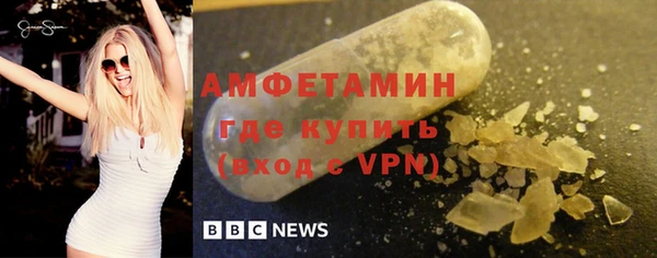 гидра Бородино