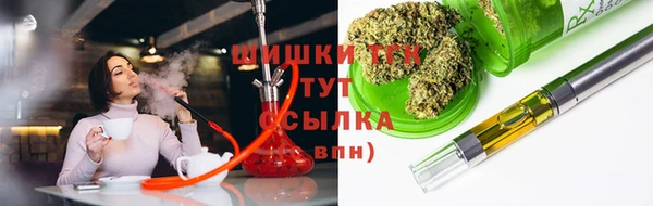 гидра Бородино