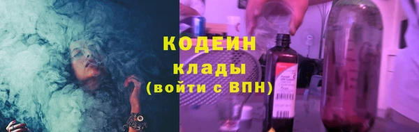 гидра Бородино