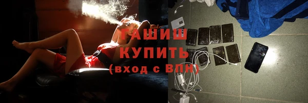 гидра Бородино