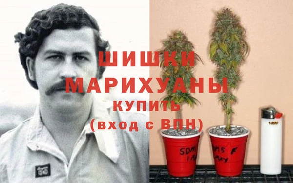 гидра Бородино