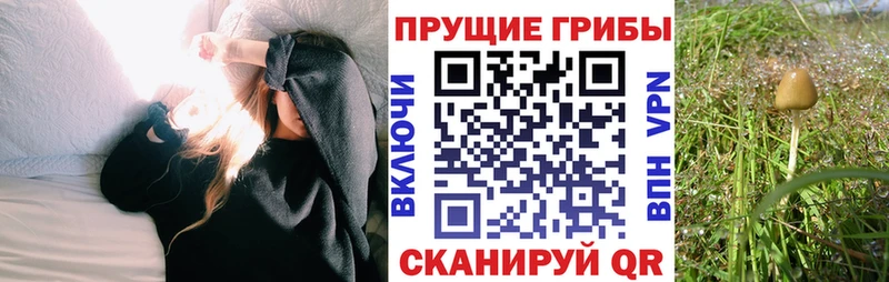Псилоцибиновые грибы ЛСД Воронеж