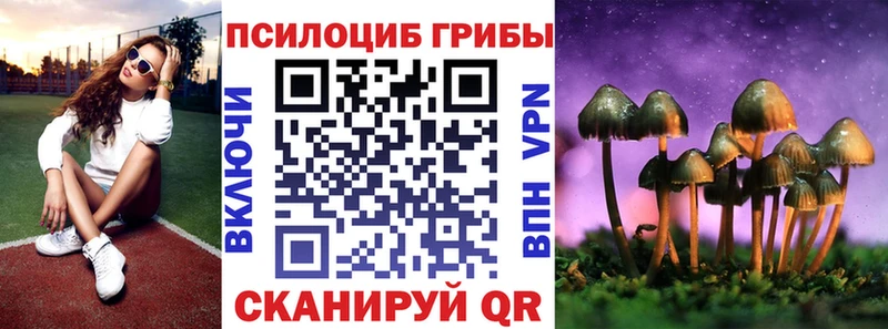 гидра зеркало Воронеж Псилоцибиновые грибы прущие грибы